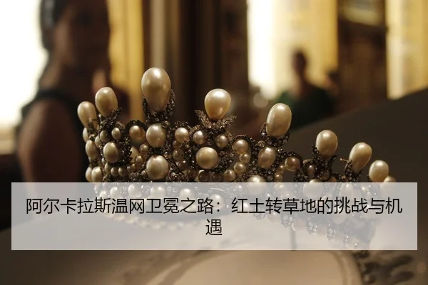 a-er-ka-la-si-wen-wang-wei-mian-zhi-lu-hong-tu-zhuan-cao-di-de-tiao-zhan-yu-ji-yu-2-177.jpg