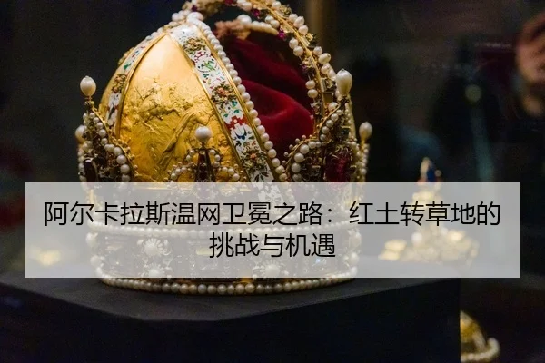 a-er-ka-la-si-wen-wang-wei-mian-zhi-lu-hong-tu-zhuan-cao-di-de-tiao-zhan-yu-ji-yu-3-863.jpg